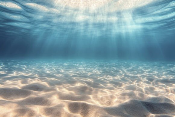 Underwater Background Wallpaper: A Designer’s Deep Dive